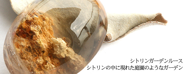 ���ȥ�󥬡��ǥ�롼��