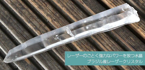 本日の新着アイテム