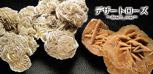 �ǥ����ȥ������������ȥ��ꥹ����