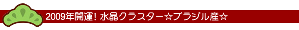 ブラジル産商品一覧