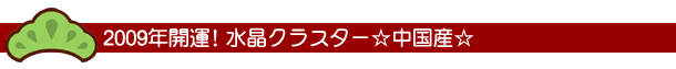 中国産商品一覧