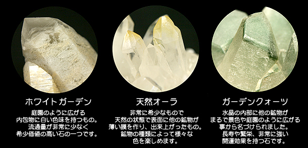その他のレアクラスターについて