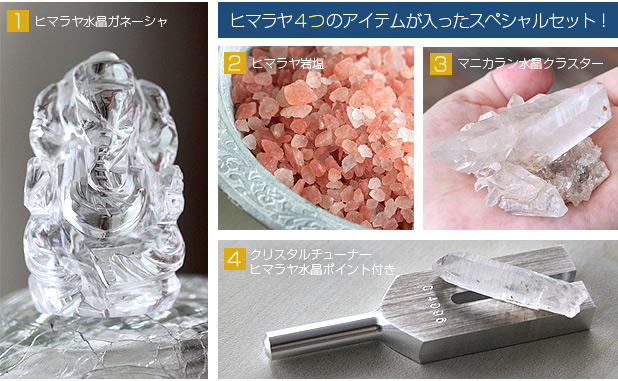 本日の新着アイテム