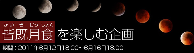 新着アイテム