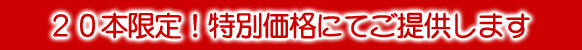 天然高品質サンキャッチャー