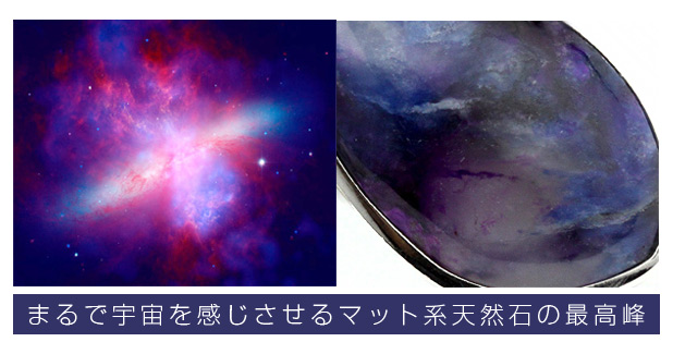 本日の新着アイテム