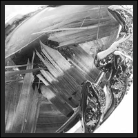 �^�C�`�����`���N�H�[�c�y���_���g-043