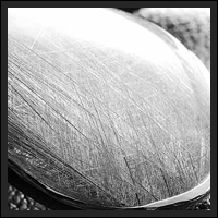 �V���o�[���`���N�H�[�c�y���_���g-017