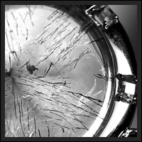 �A���W�X�g�G���X�`�����y���_���g-081