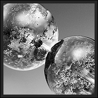 �K�[�f���N�H�[�c13�`14mm�u���X���b�gSA�i19cm�j-034