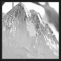 �u���W���Y�J�e�h��������SA�i����t�j-002