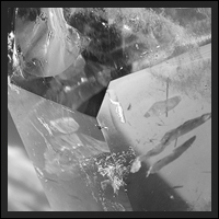 �i�`�������V�g�����t�@���g���|�C���g�i�g���}��������j�]030