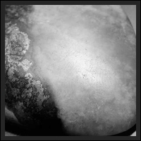 �s���N�X�M���C�g���[�X-001