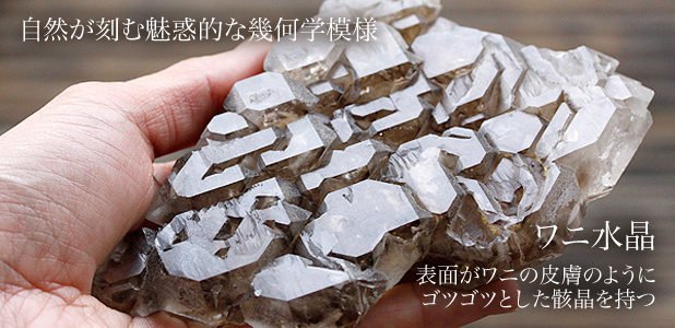 エレスチャルワニ水晶