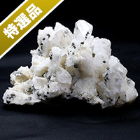 【スーパーSALE】【特選品】ダンビュライトクラスター-004
