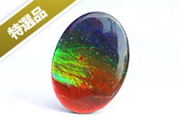 【特選品】カナダ・アルバータ州産アンモライト　ルース-021