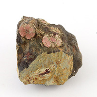 【スーパーSALE】京都亀岡市稗田野町芦ノ山産桜石-038