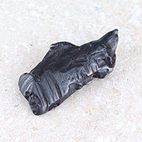 " .ロシア産シホーテ・アリン隕石（シホテアリン隕石）-001. "